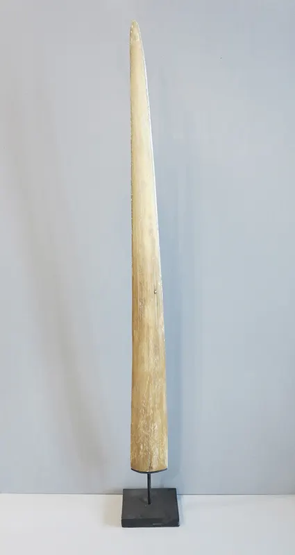 Lot 43